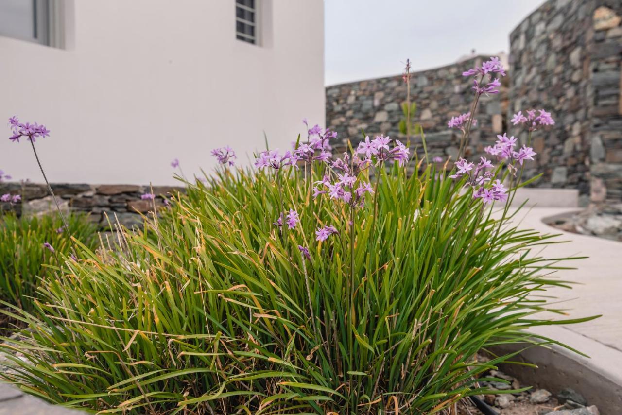 Villa Nites Liaropá Eksteriør bilde