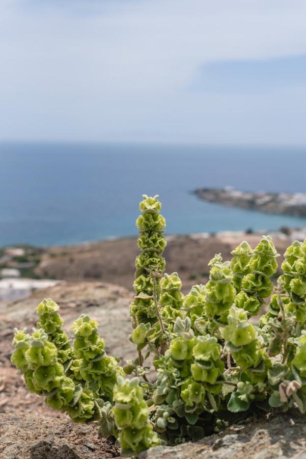 Villa Nites Liaropá Eksteriør bilde